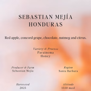 SUMO -  Sebastian Mejia , OMNI - Honduras 250 gr
